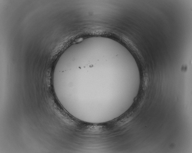 X0000111580497200908061328