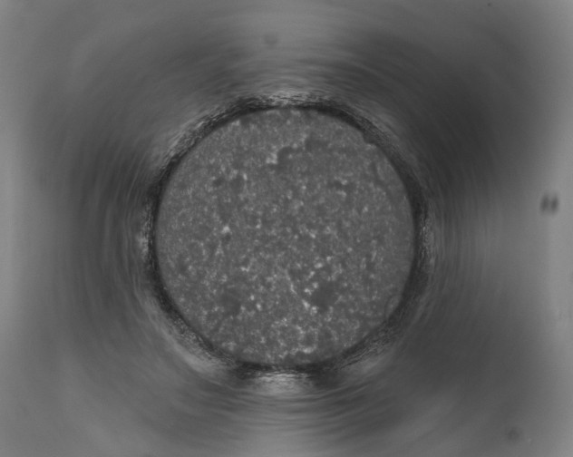 X0000111580499200908061328