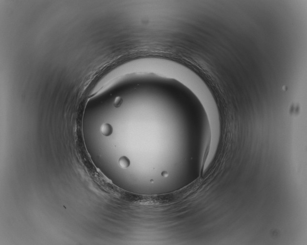 X0000111580500200908061328