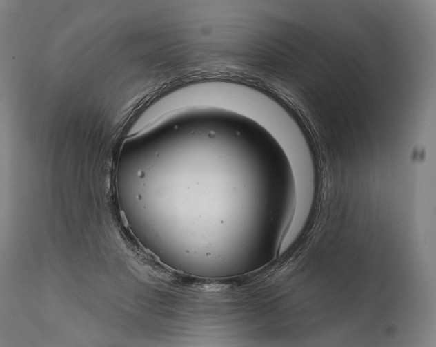 X0000111580501200908061328