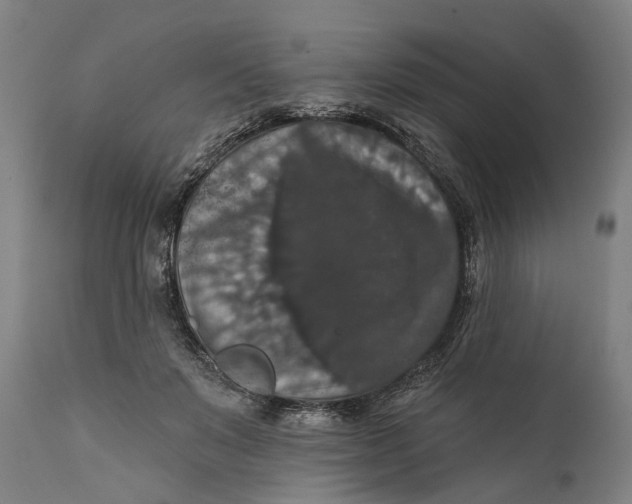 X0000111580503200908061328