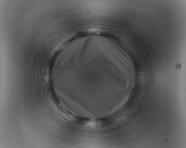 X0000111580504200908061328