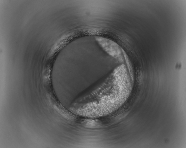 X0000111580507200908061328