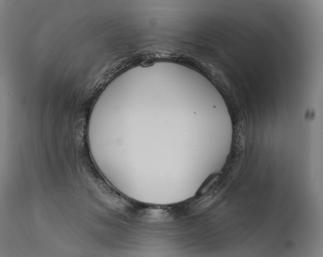 X0000111580509200908061328