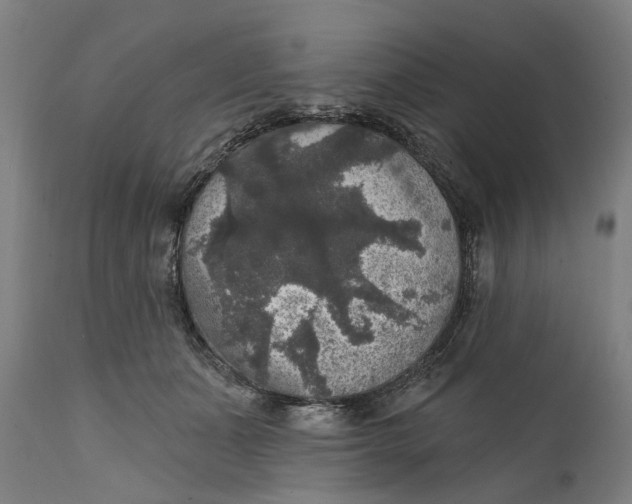 X0000111580511200908061328