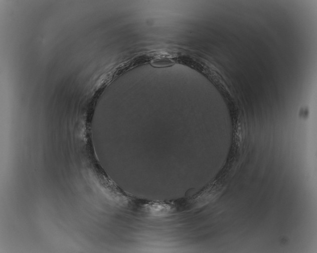 X0000111580512200908061328