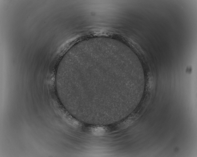 X0000111580513200908061328