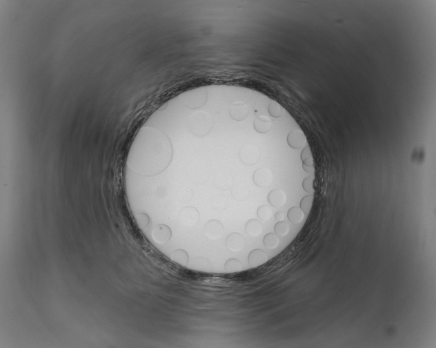 X0000111580515200908061328