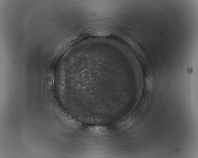 X0000111580517200908061328