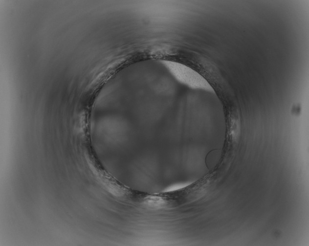 X0000111580519200908061328