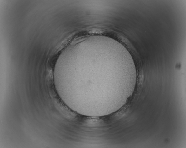 X0000111580521200908061328