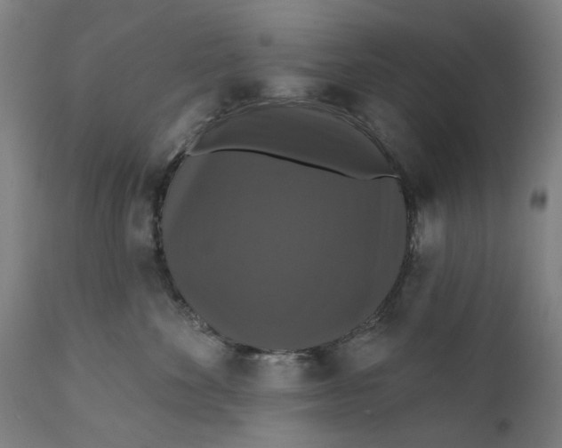 X0000111580524200908061328