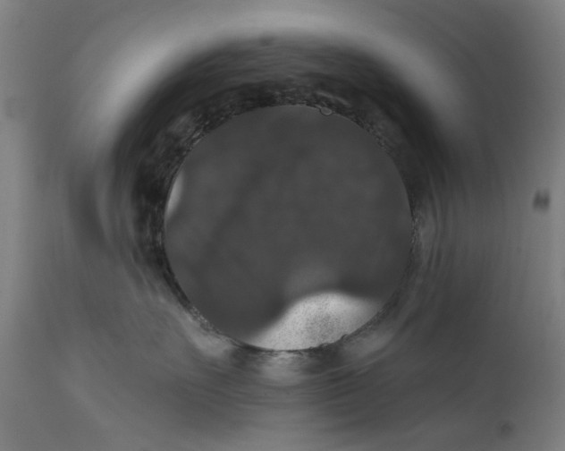 X0000111580527200908061328