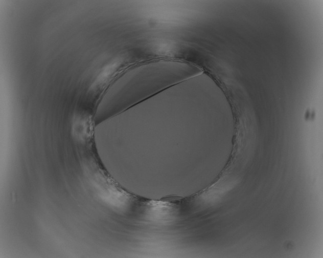 X0000111580528200908061328