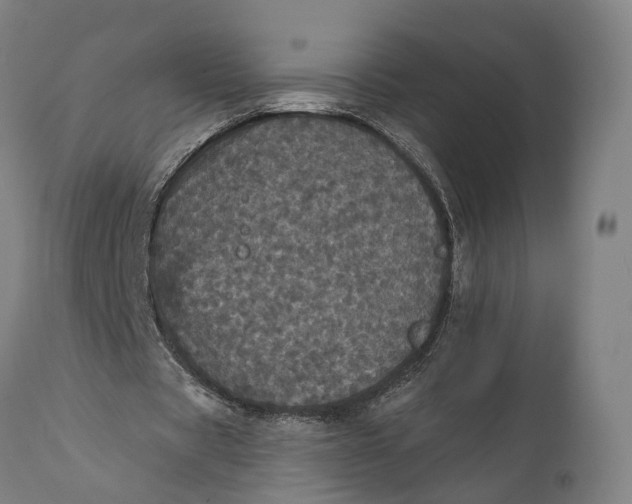 X0000111580529200908061327