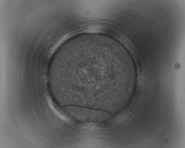 X0000111580530200908061327