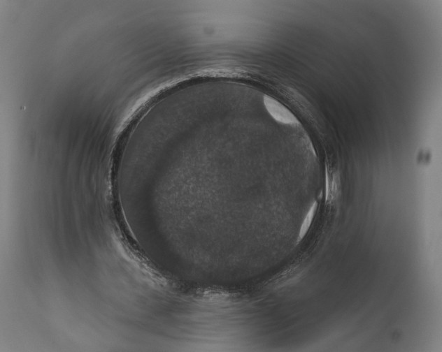 X0000111580531200908061327