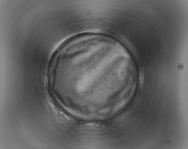 X0000111580532200908061327