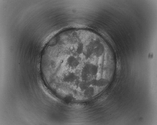 X0000111580533200908061327