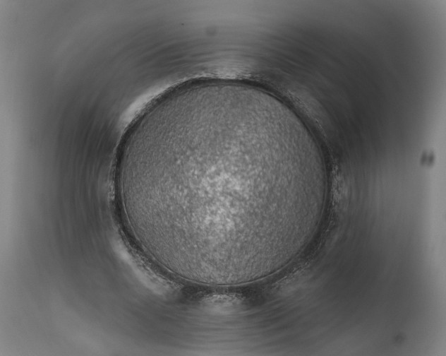 X0000111580536200908061327