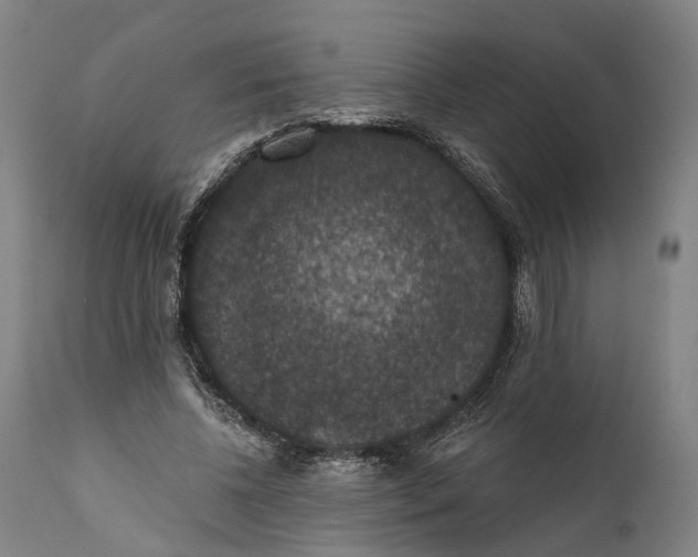 X0000111580540200908061327