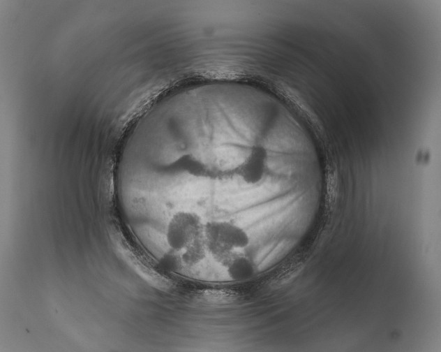 X0000111580541200908061327