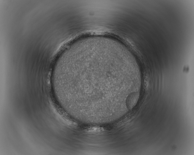 X0000111580543200908061327