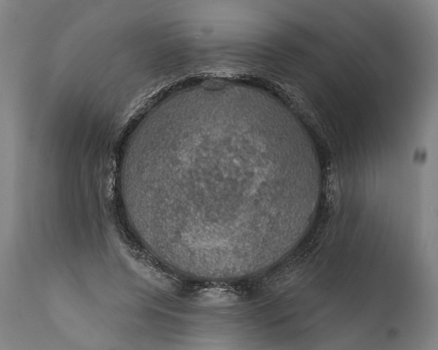 X0000111580544200908061327