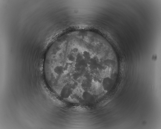 X0000111580545200908061327