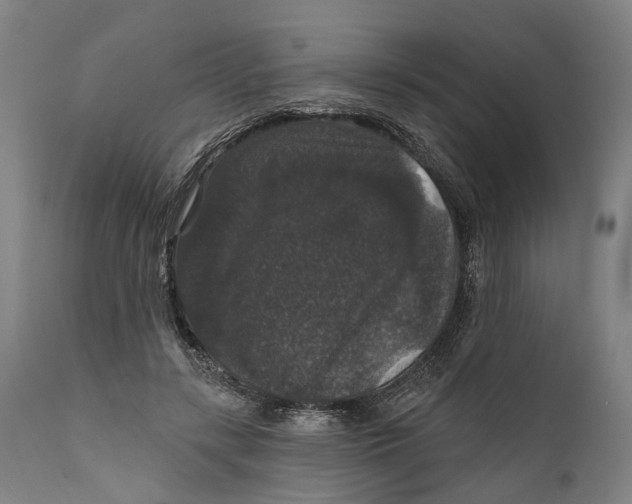 X0000111580547200908061327