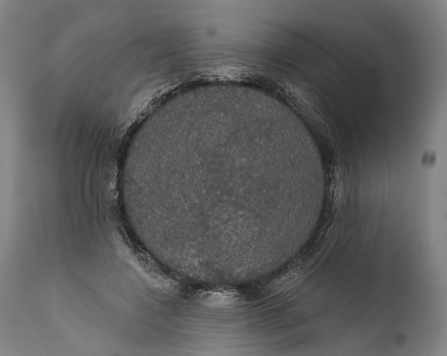 X0000111580548200908061327