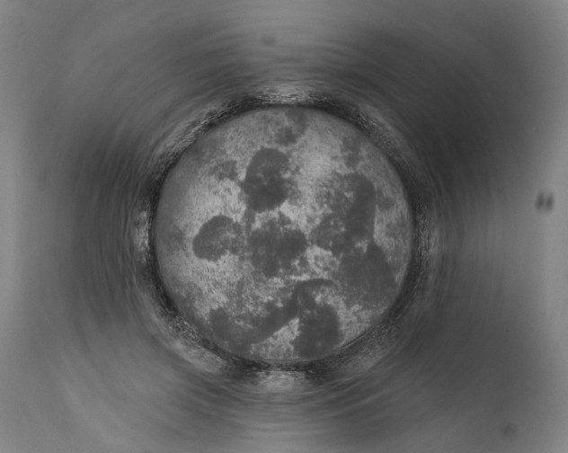 X0000111580549200908061327