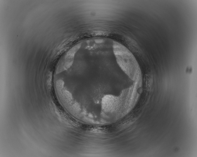 X0000111580550200908061327