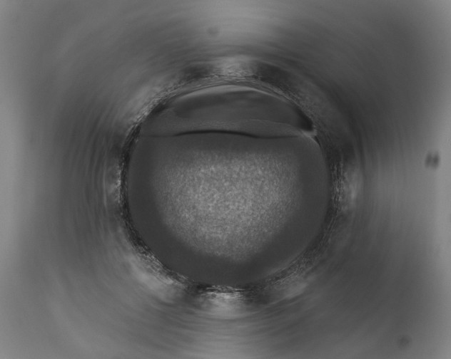 X0000111580552200908061327