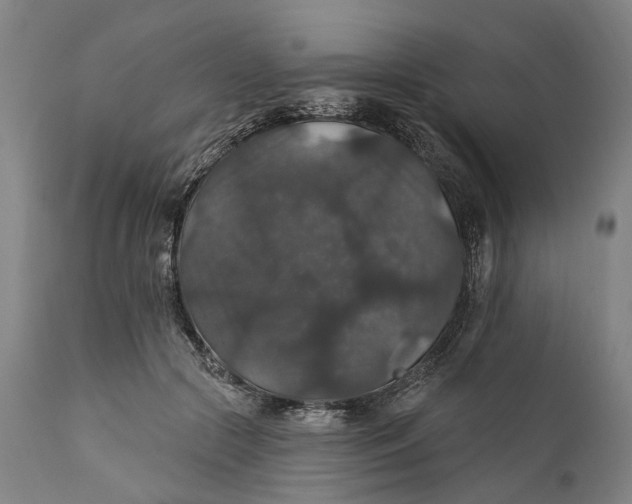 X0000111580553200908061327