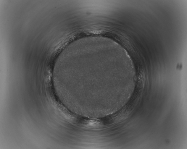 X0000111580555200908061327