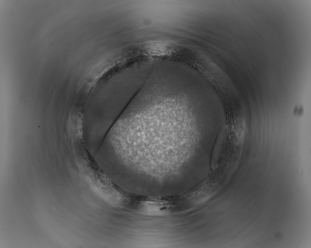 X0000111580556200908061327