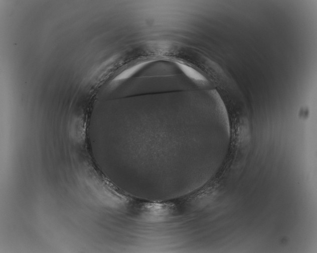 X0000111580558200908061328