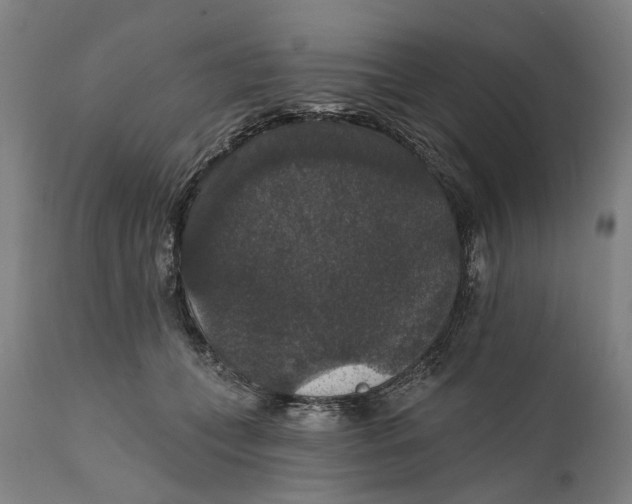 X0000111580559200908061328