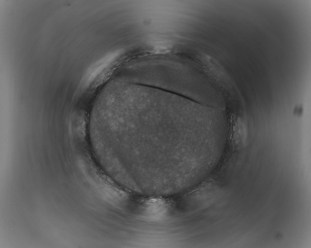 X0000111580562200908061328