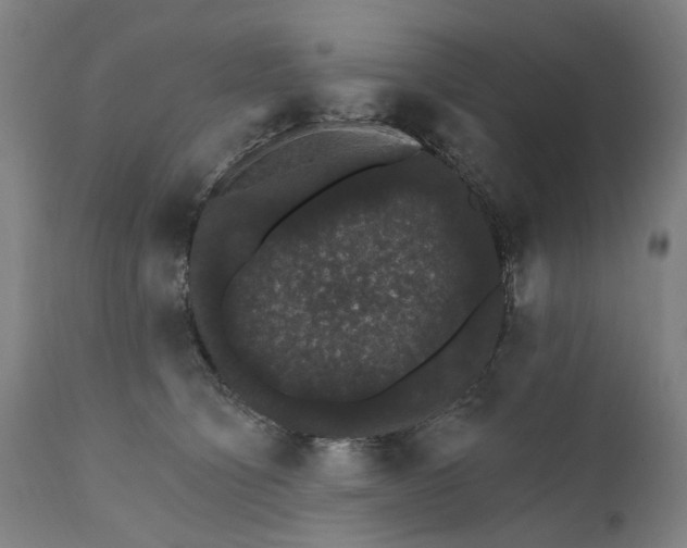 X0000111580564200908061328