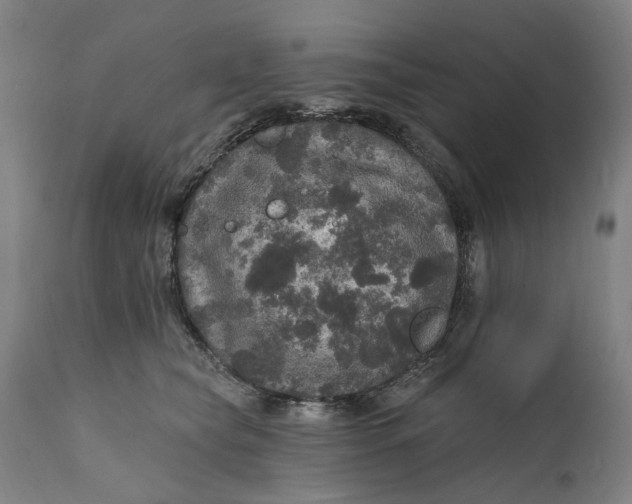 X0000111580565200908061328