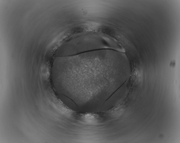 X0000111580566200908061328