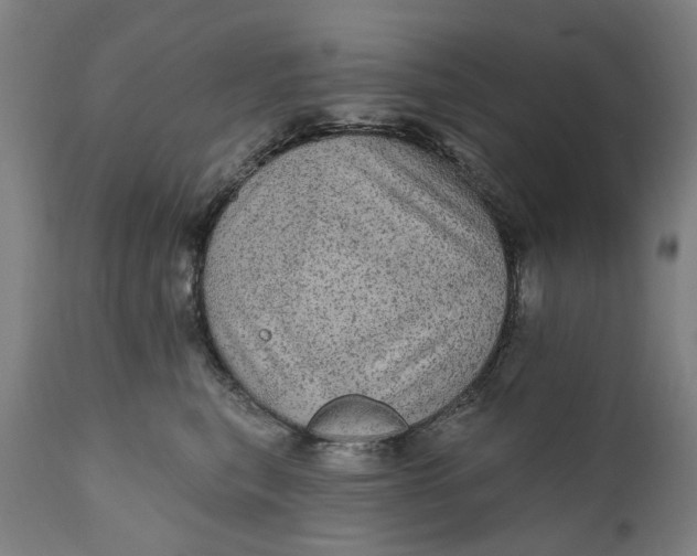 X0000111580567200908061328