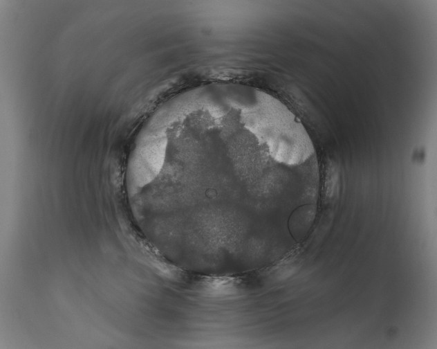 X0000111580569200908061328