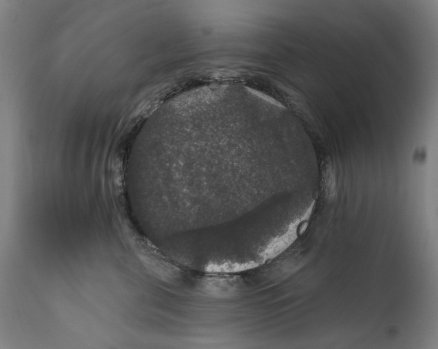 X0000111580571200908061328