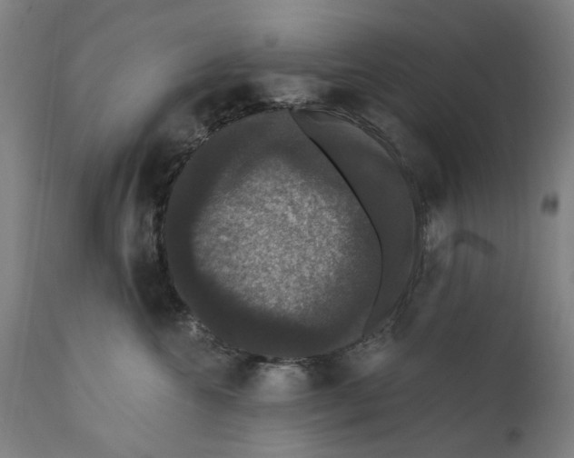 X0000111580572200908061328