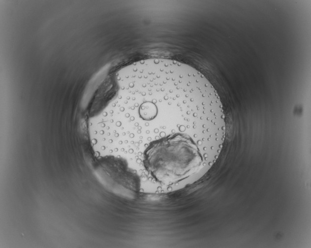 X0000111580573200908061328