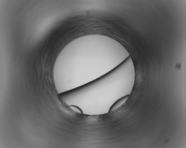 X0000111580574200908061328