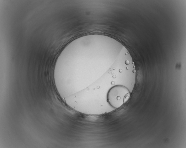 X0000111580575200908061328